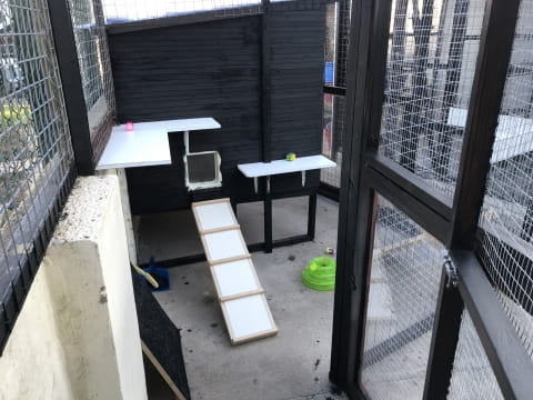 Unit in the cattery